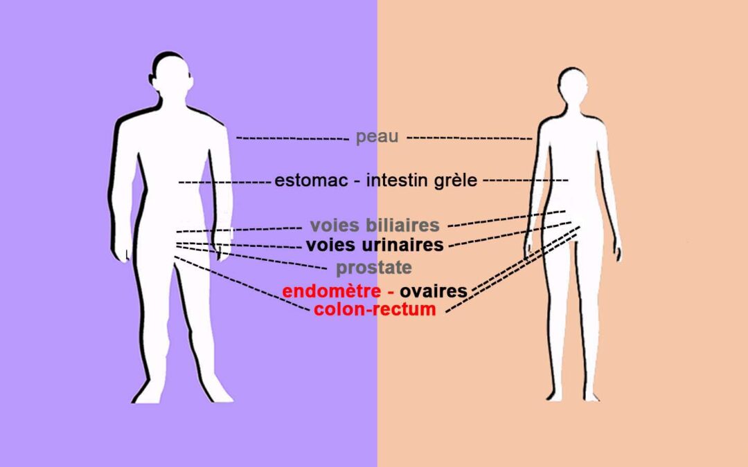 Quels risques de cancer ? Pour quels organes ?